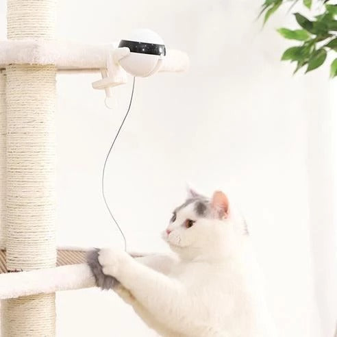 Electronic Motion Toy For Cats